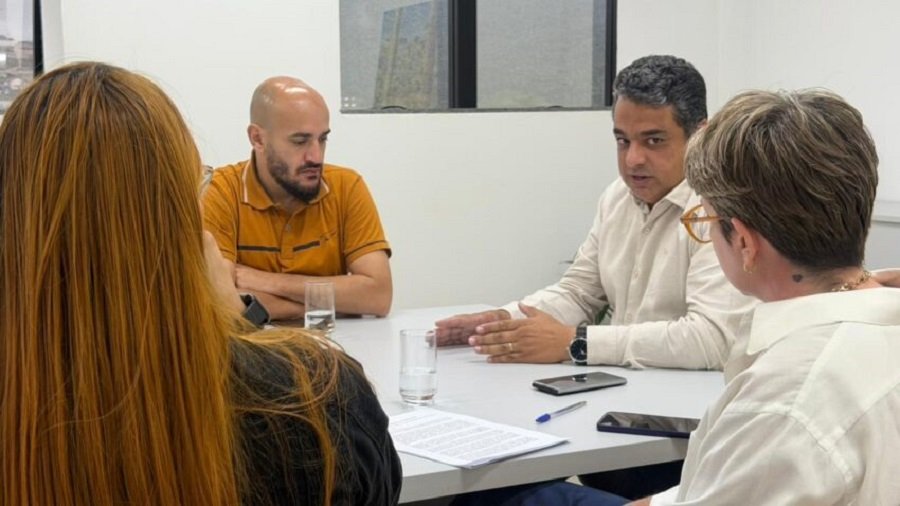 reunião comitê de terras raras