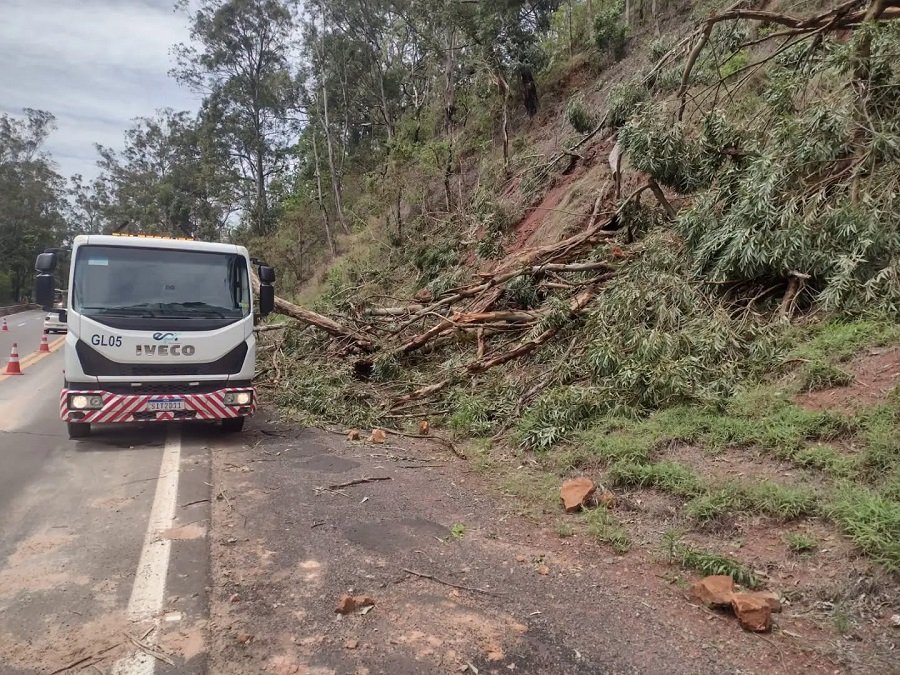 equipes da epr sul de minas durante ocorrência de queda de árvore