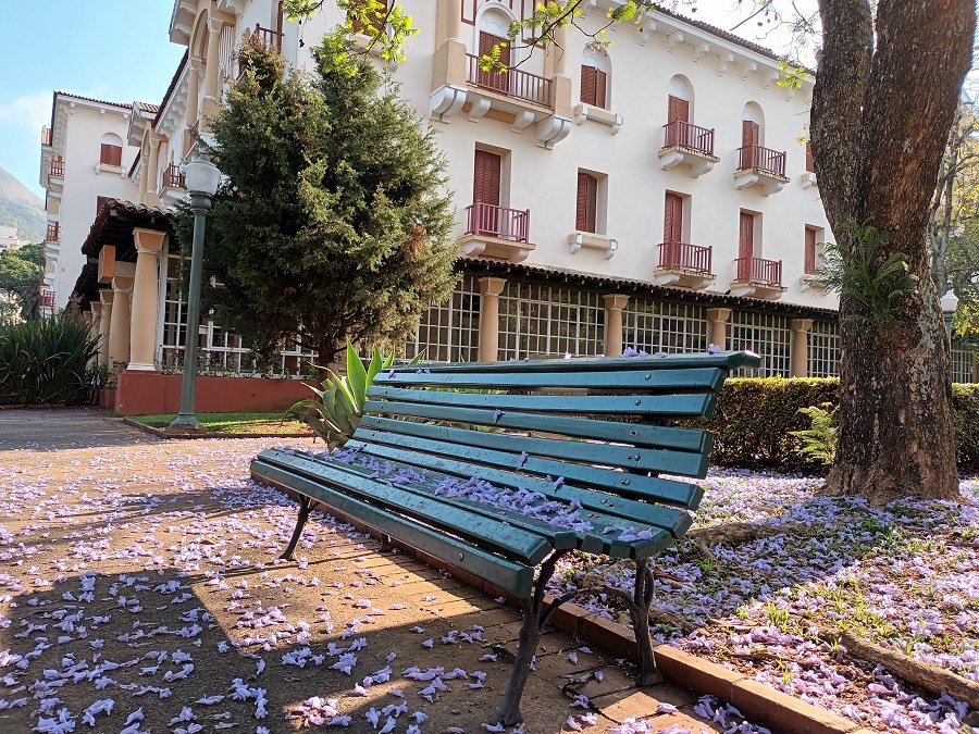 banco com flores na praça sanches em Poços de Caldas